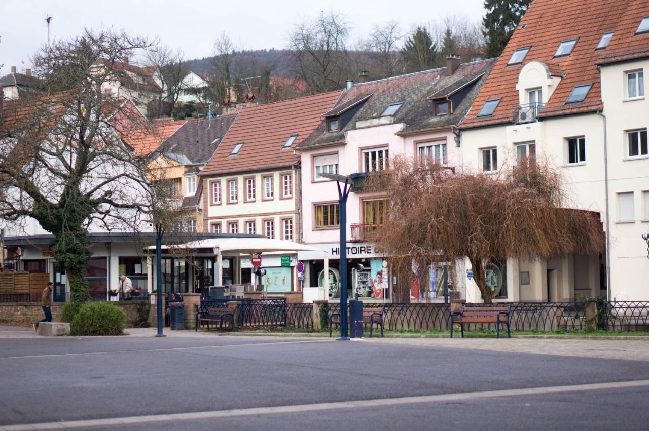 Meuble Tout Confort, Avec Terrasse Niederbronn-les-Bains Kültér fotó